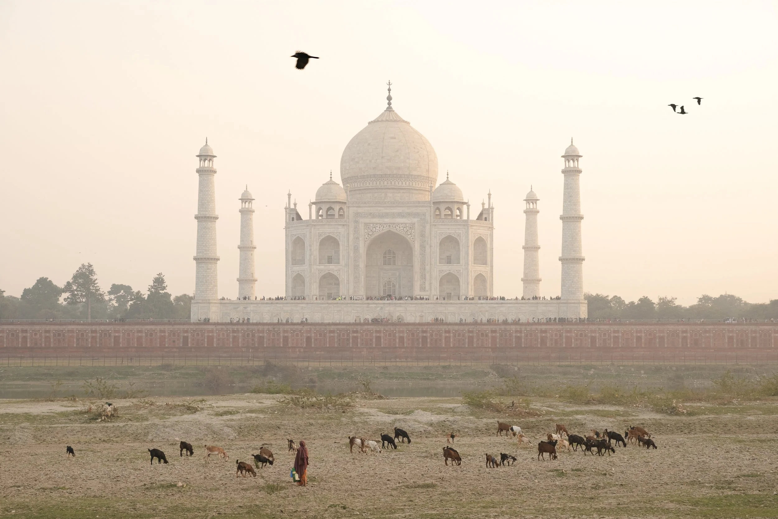 Agra