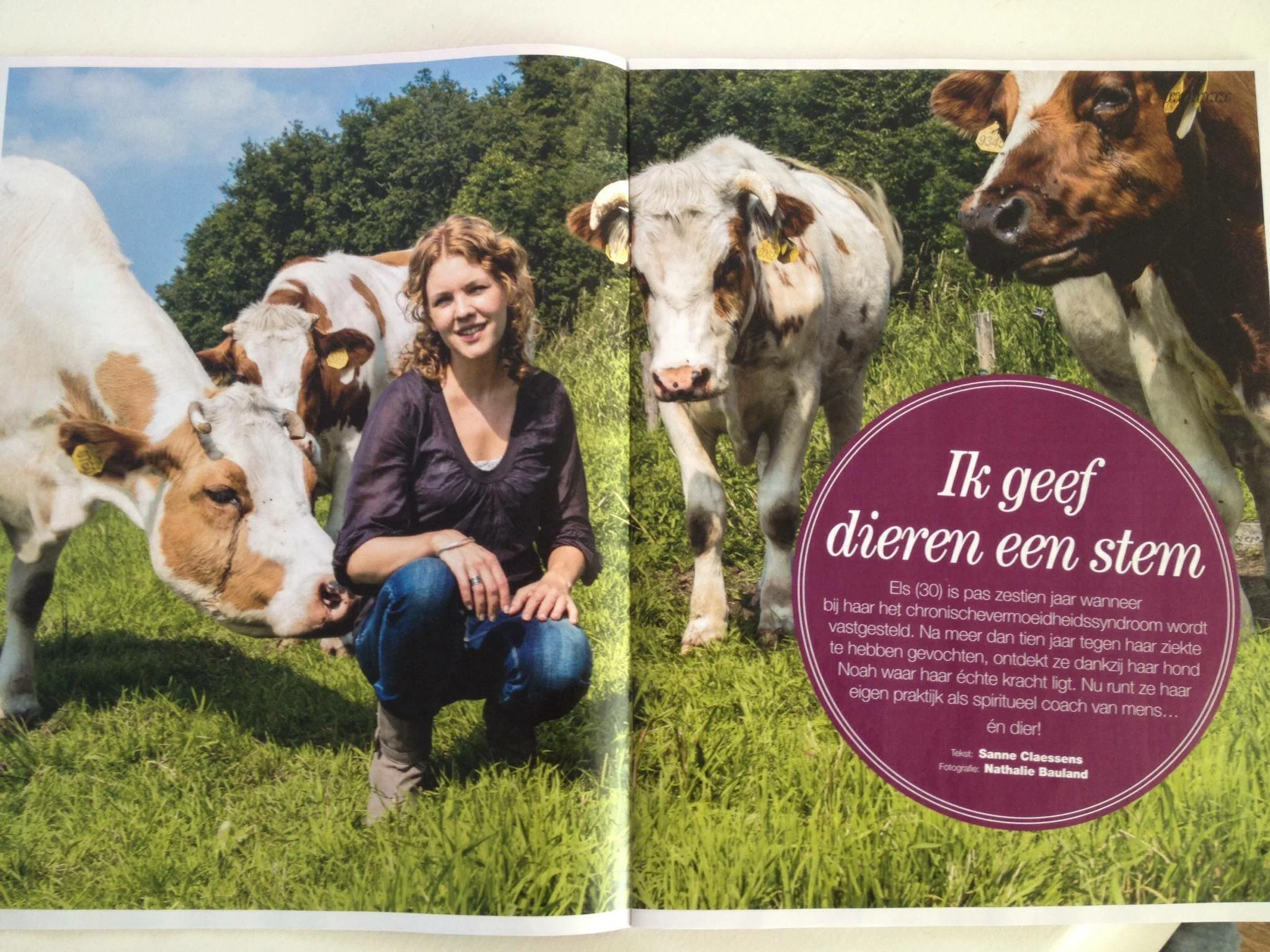 ikgeefdiereneenstem.jpg