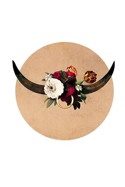 🌕 Full Moon in Taurus 🌕