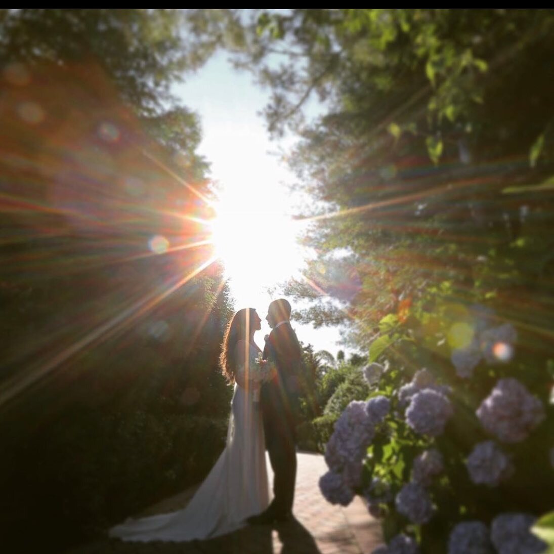 A magical moment shared between #newlyweds nestled in a sea of hydrangeas and warm sunshine. 

.
.
.
#longislandwedding #summerwedding #weddingseason2021 #bride #bridalbeauty #bridalhair #wedding #weddingdaybeauty #beachwedding #longisland #eastendLI