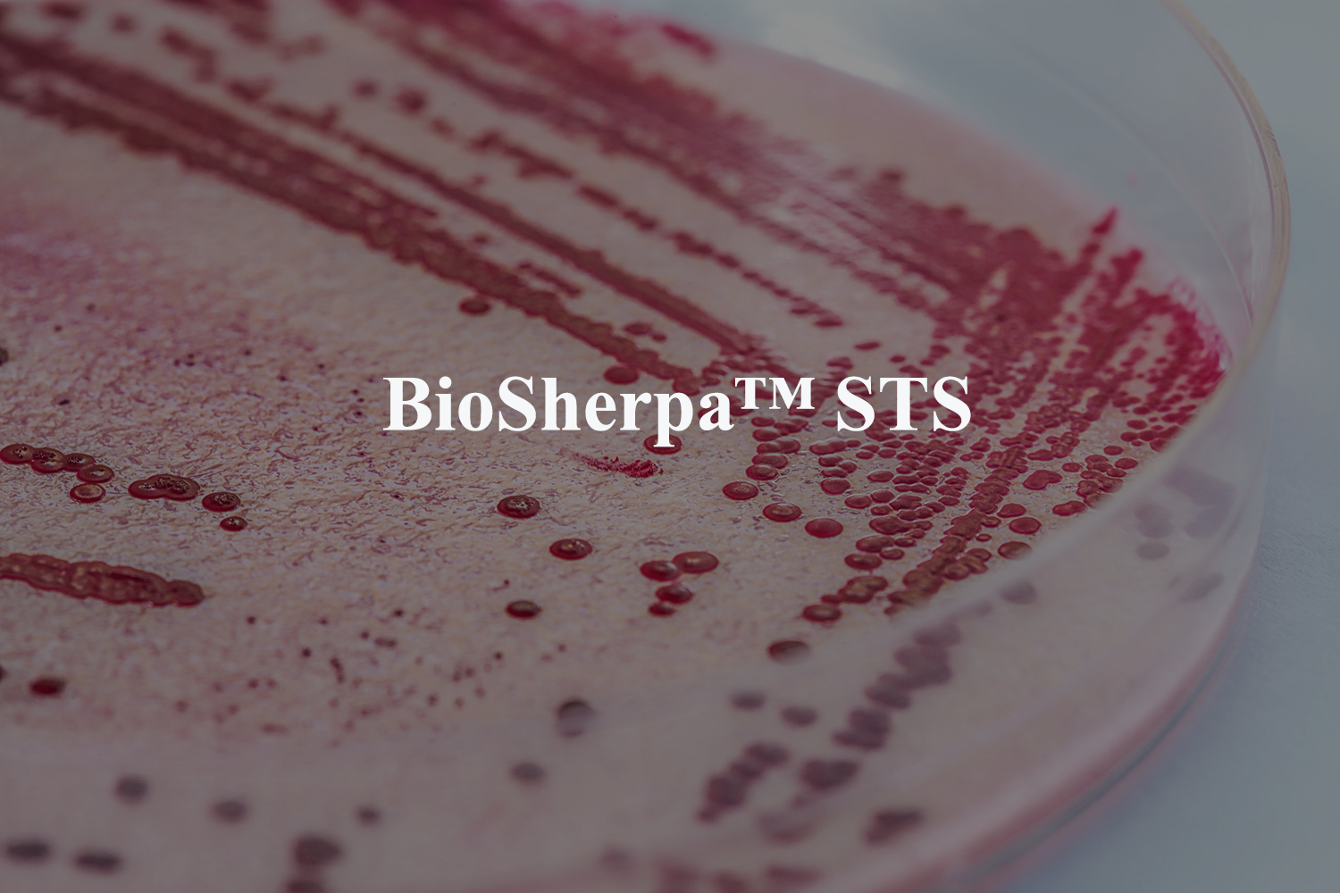 BioSherpaSTS-Banner.png