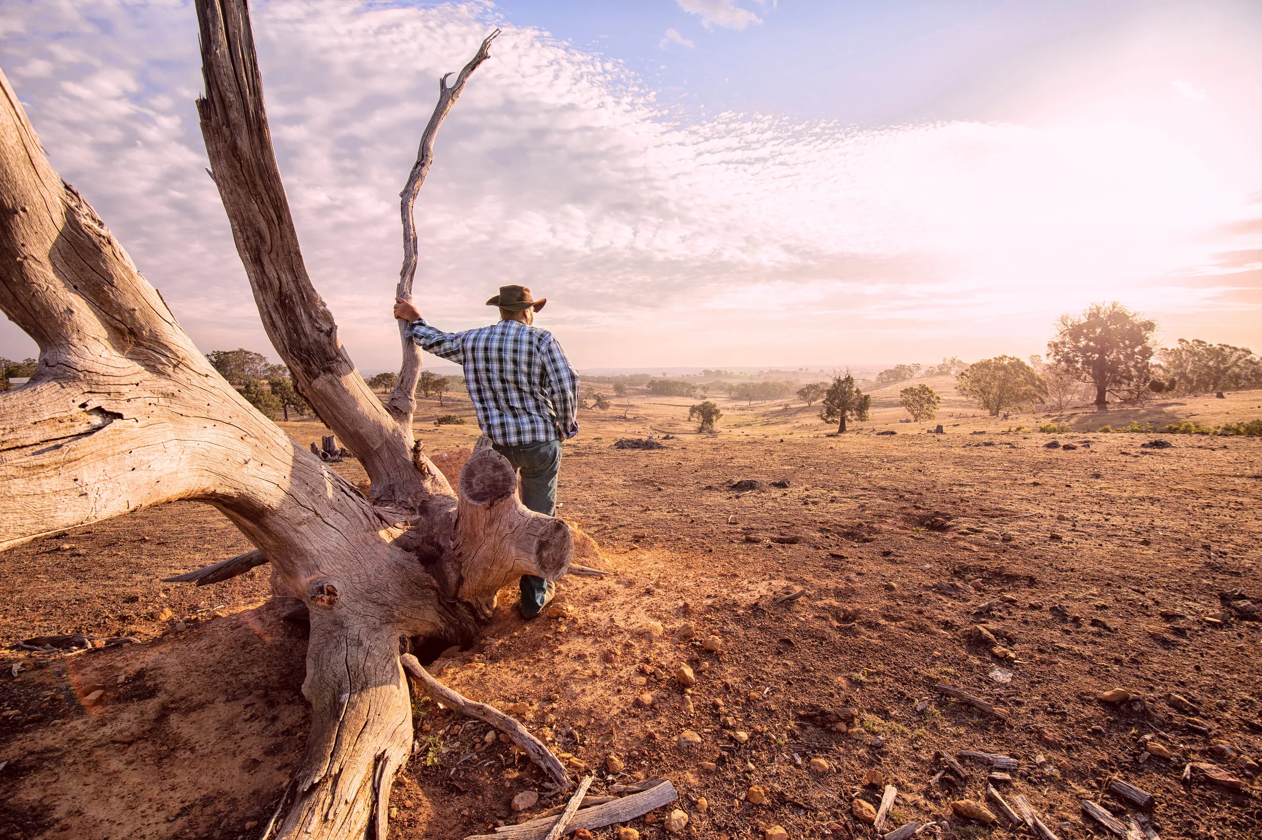 Rural assistance for mental health