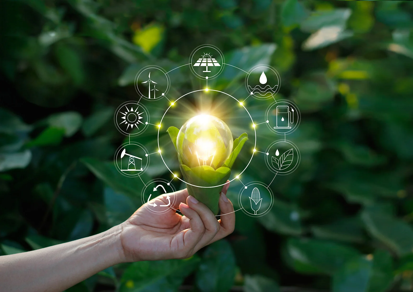 Is hydrogen the future of Australia’s renewable energy sector?