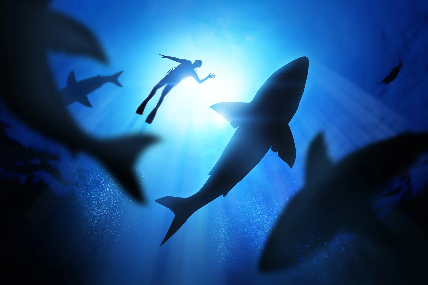 New deterrent technology designed to keep swimmers and sharks safe