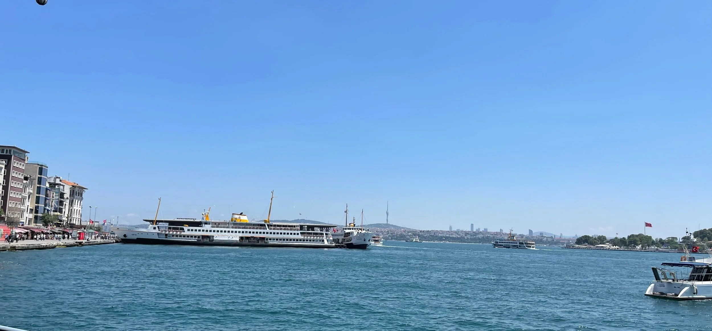 IMG_5540.jpeg