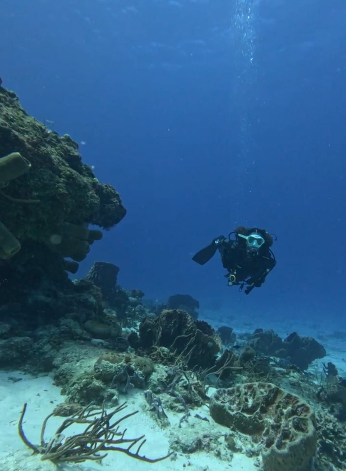 image7 (1).jpeg