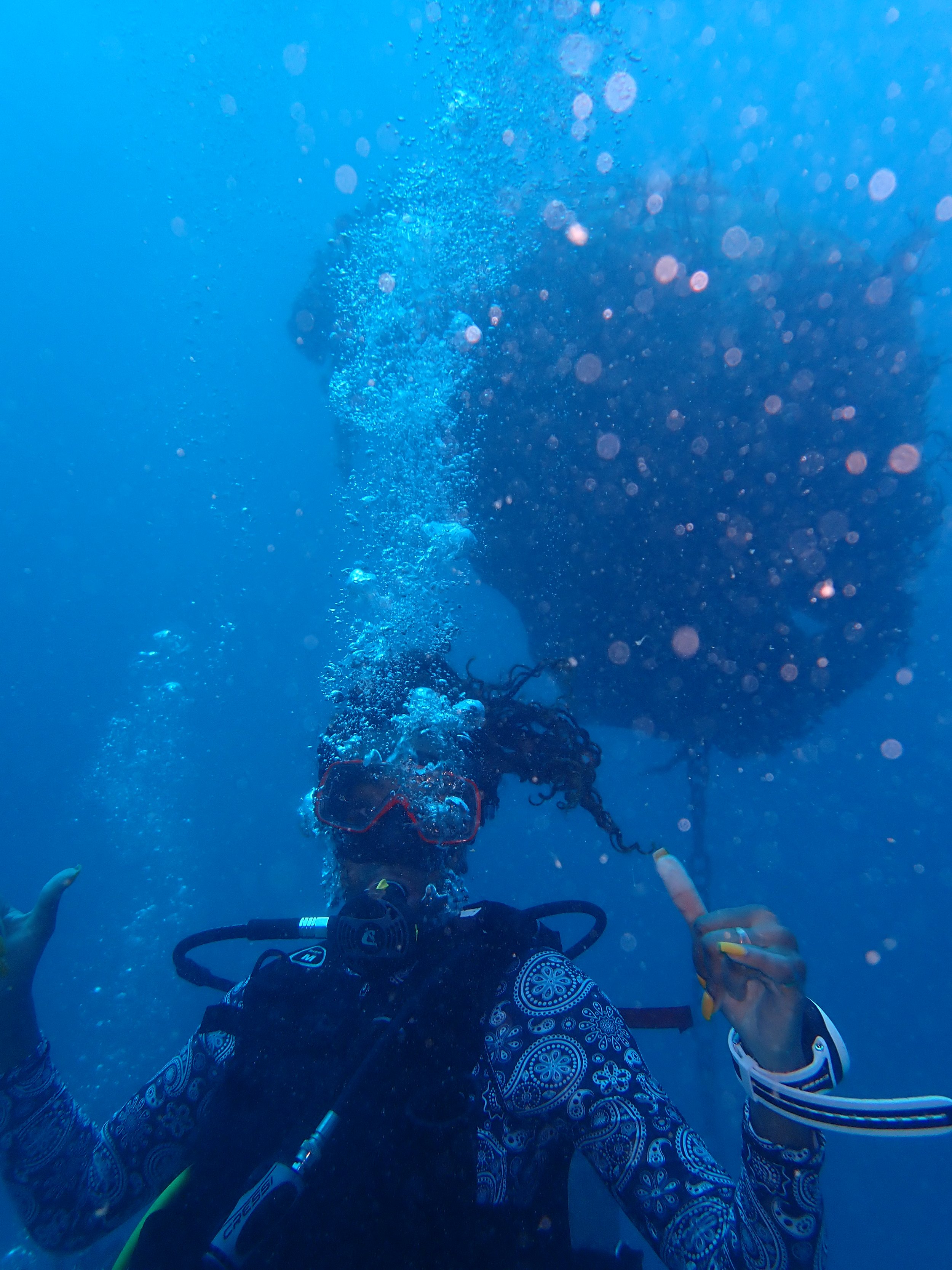 image4 (1).jpeg