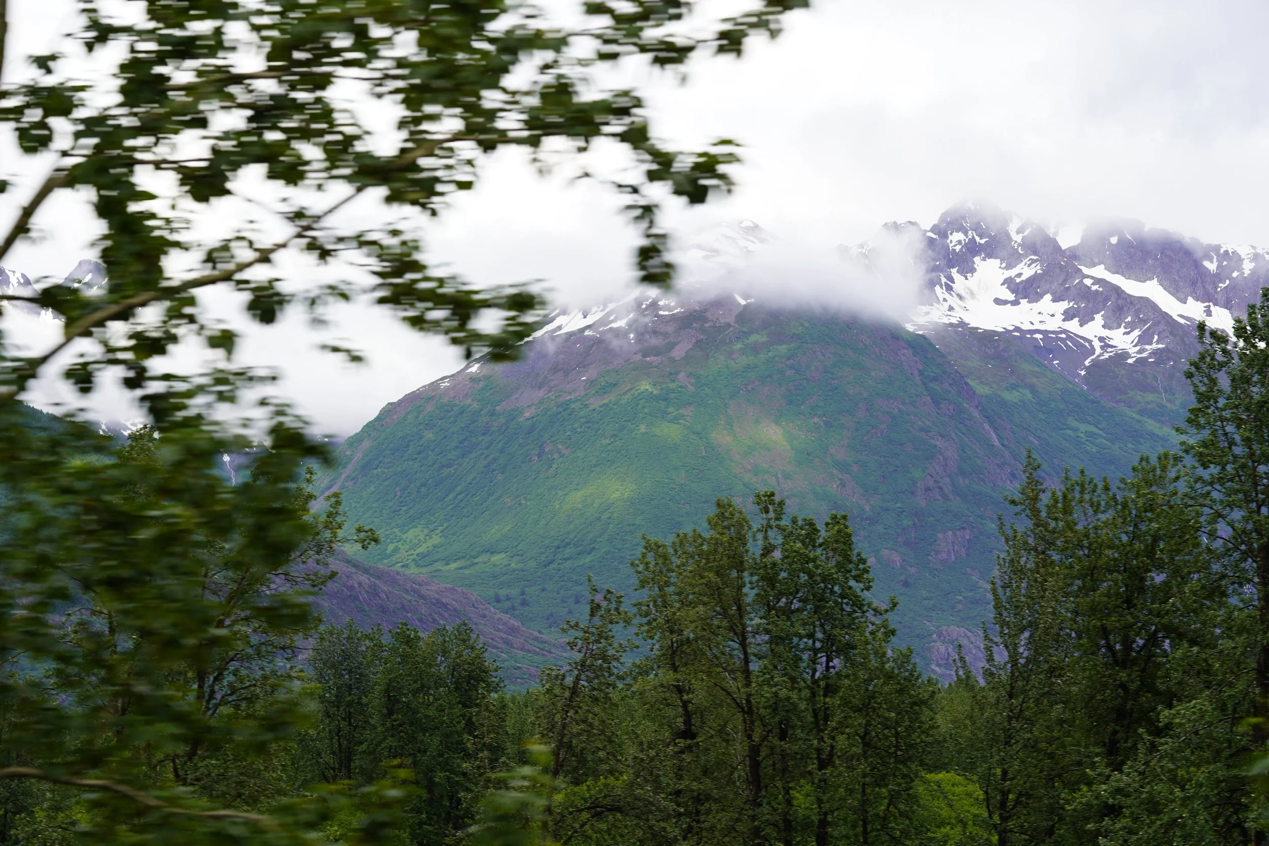 _DSC9732.jpeg