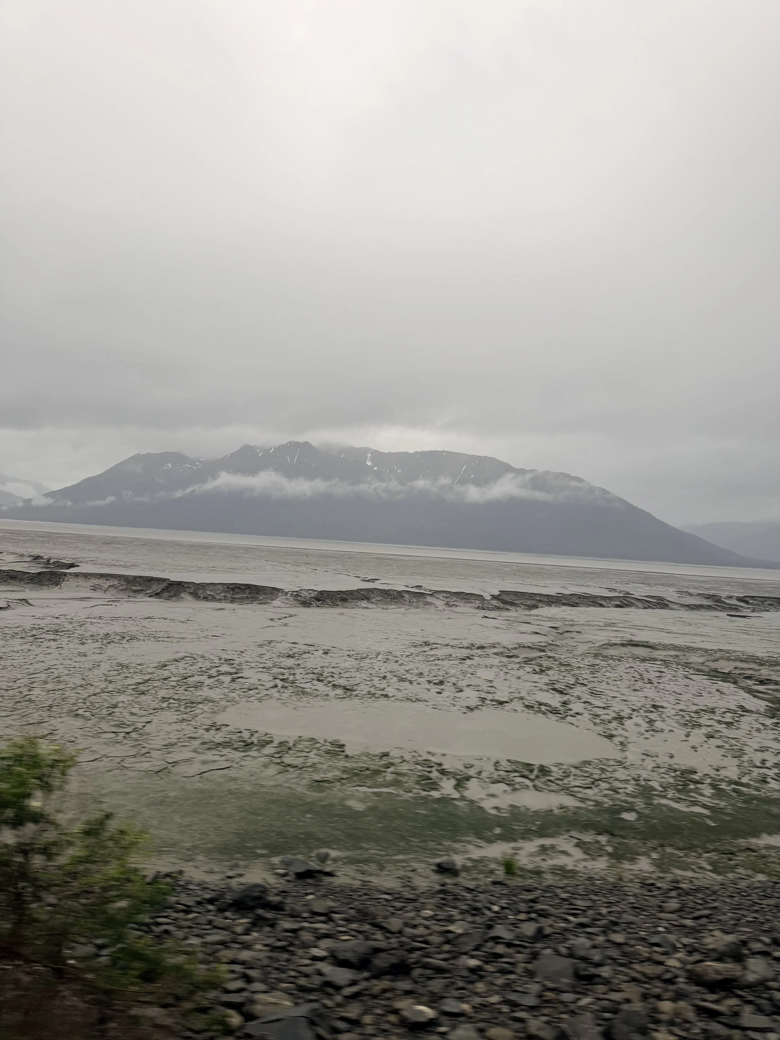IMG_0267.jpeg