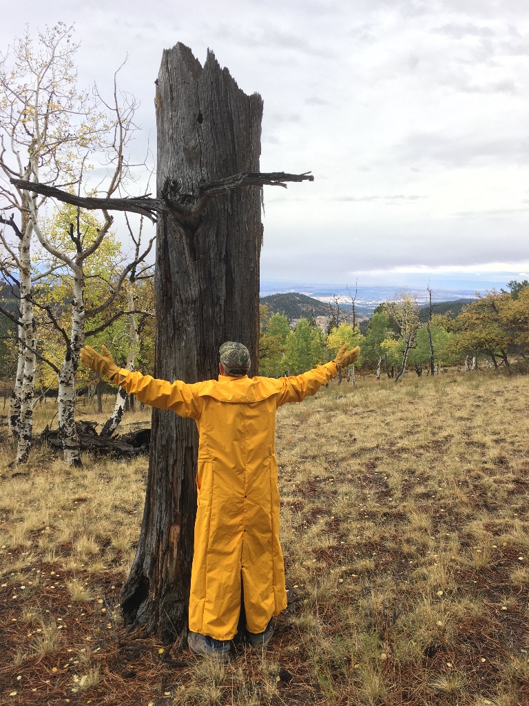 This is me learning about trees while staying dry.