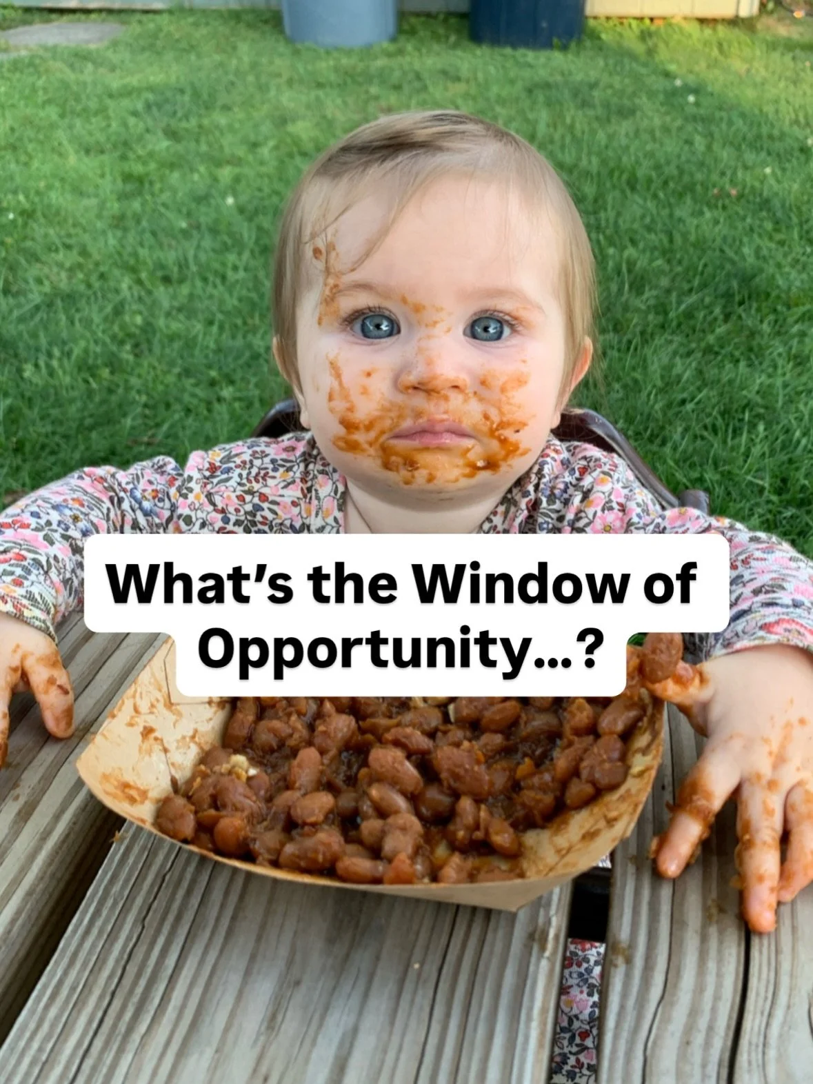 What is the window of opportunity?

It&rsquo;s the period of time when foods are most likely to have the biggest impact on a baby&rsquo;s eating preferences in the future. 

It&rsquo;s important to introduce as many flavors and textures between the a