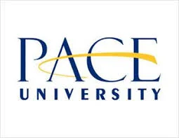 David Freeman joins Pace University Faculty