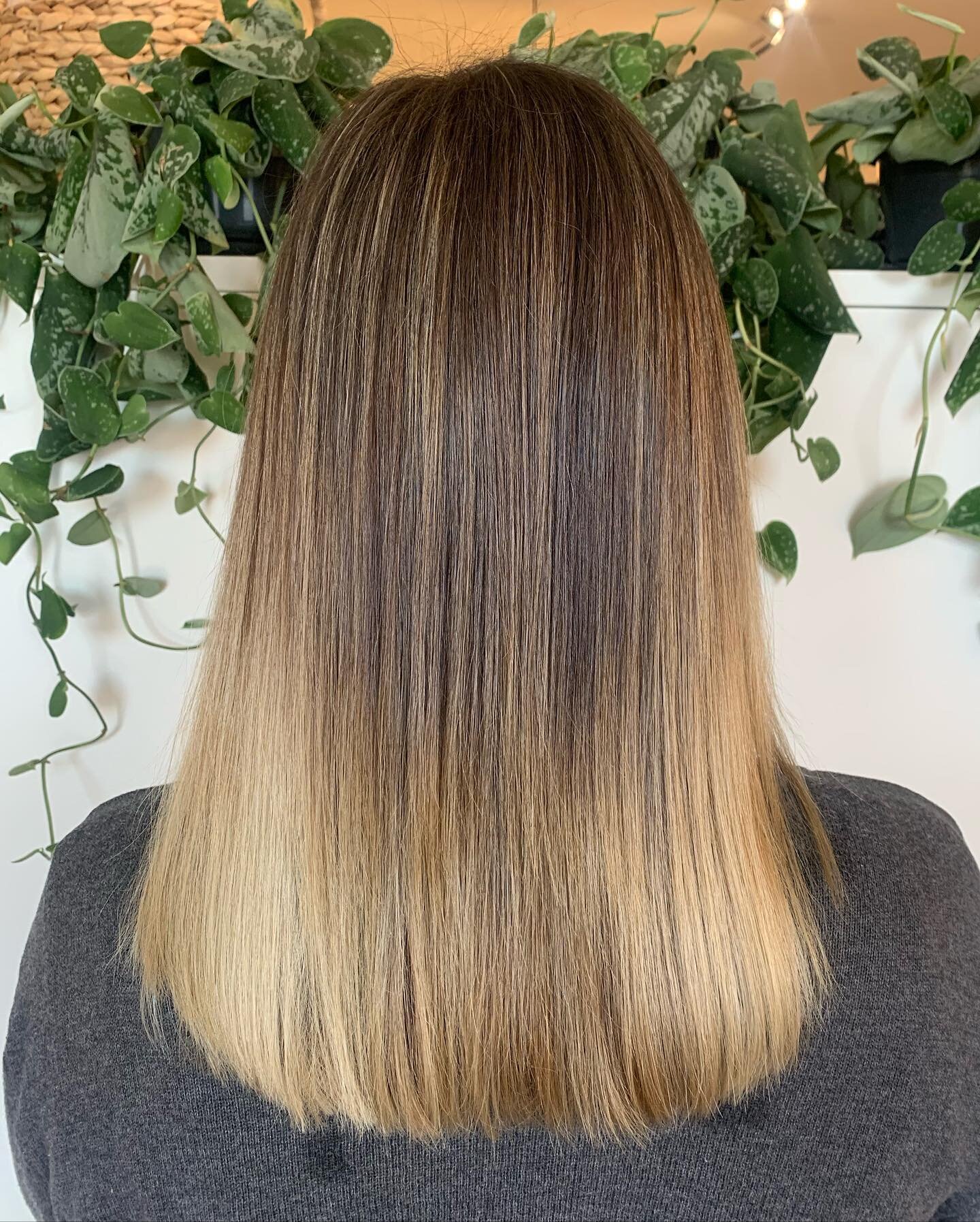 Blend blend blend! Used different techniques to get rid of harsh lines and creat a more seamless blend ✨
.
.
.
.
.

Brunette - #brunettebalayage #brunettehair #brondehair #brondebalayage #bronde #bestofbalayage #balayageartists #balayagedandpainted #