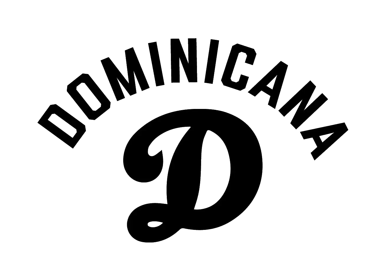 Dominicana Baseball Training