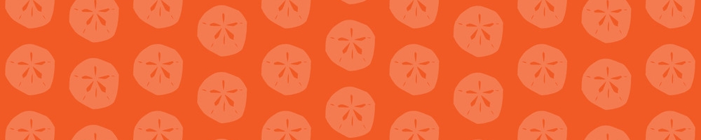 sanderling-icon-banner-orange.jpg