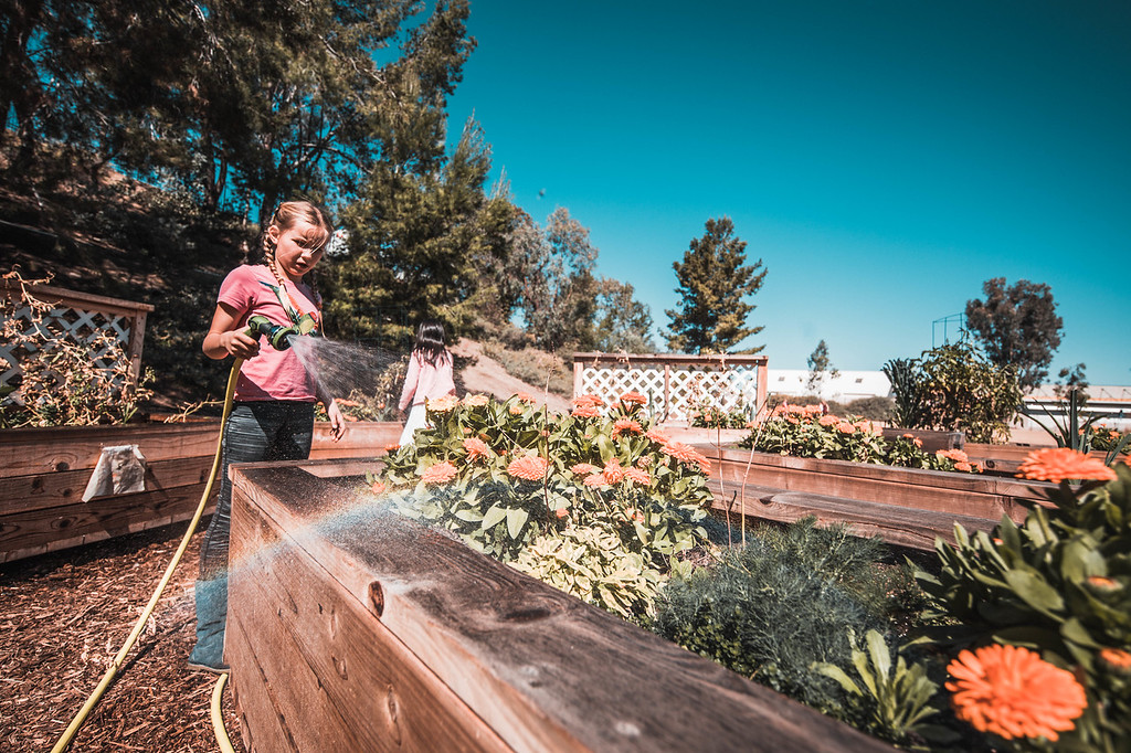 GardeningThirdGrade.jpg