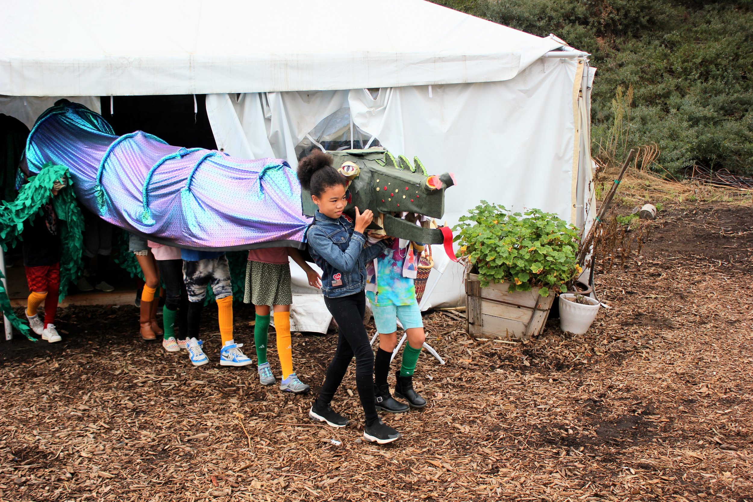 Michaelmas at Sanderling 2021