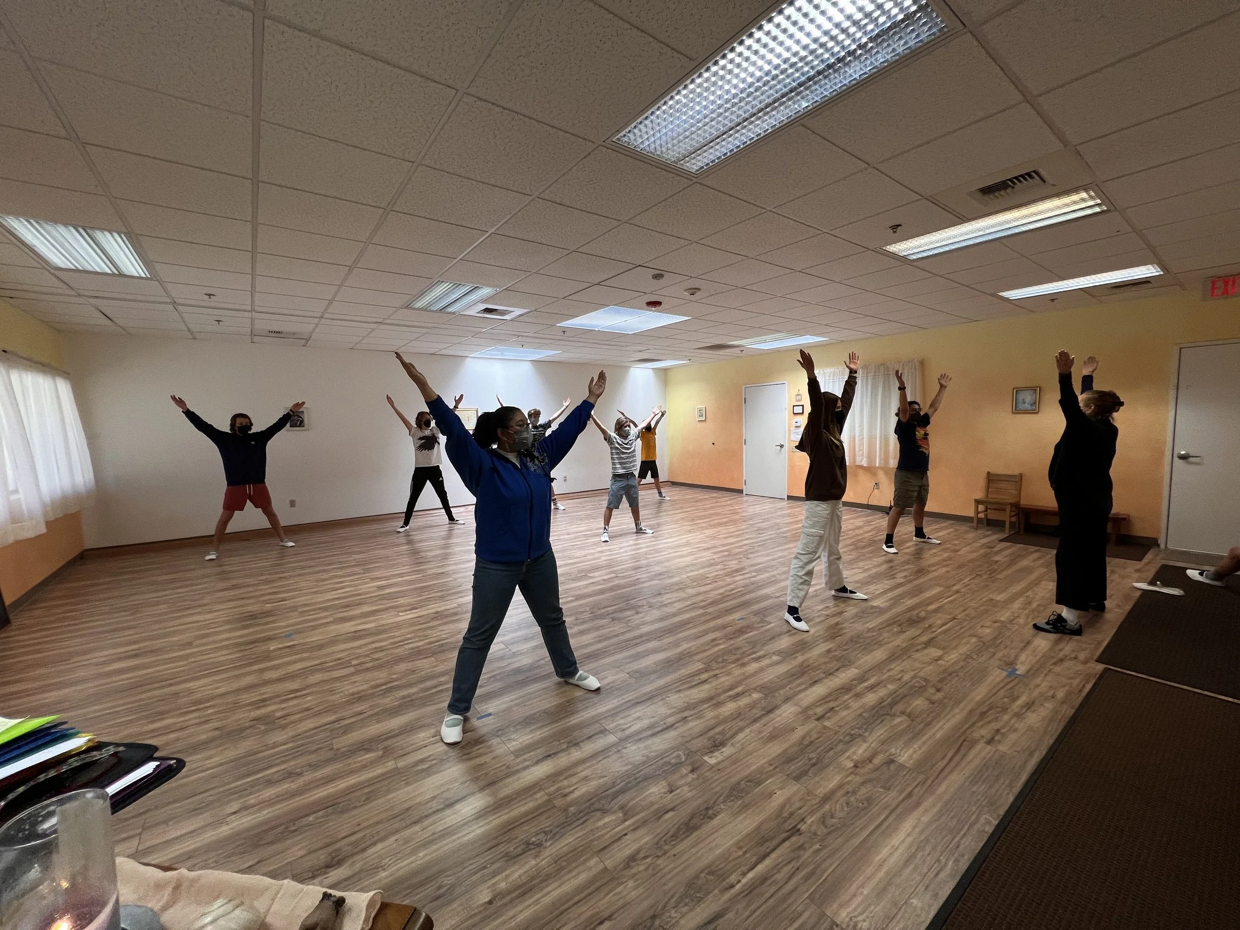 Eurythmy–A Healing Movement Art Unique to Waldorf Education