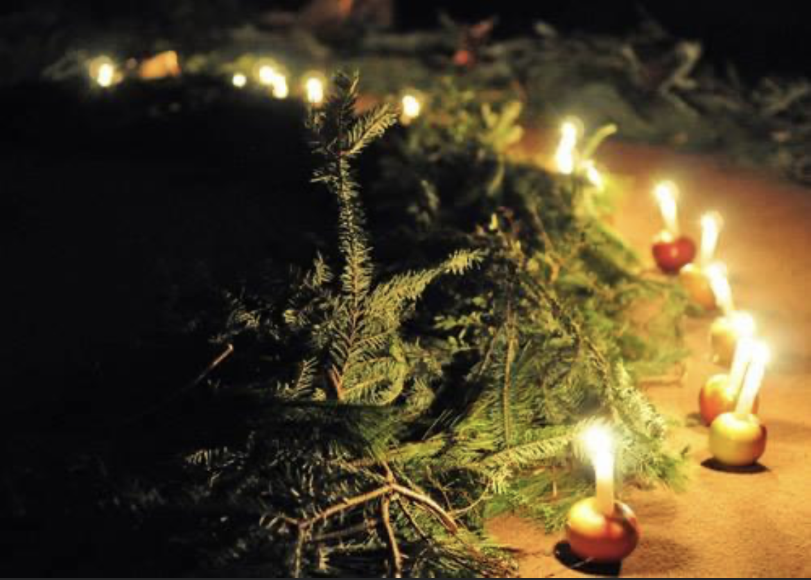 Sanderling Waldorf School Winter Spiral