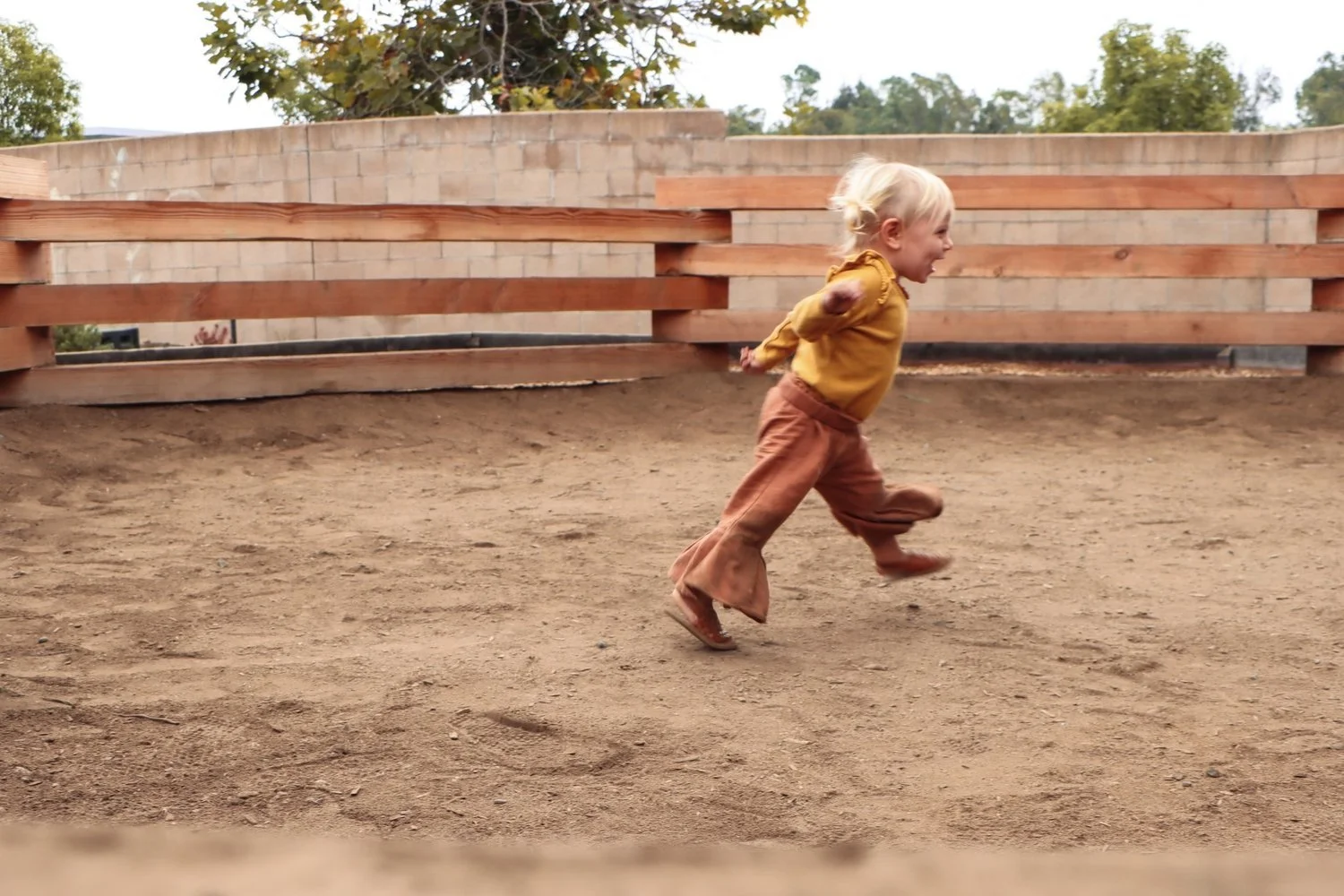 Parent - Child Program: Guidelines &amp; Curriculum 