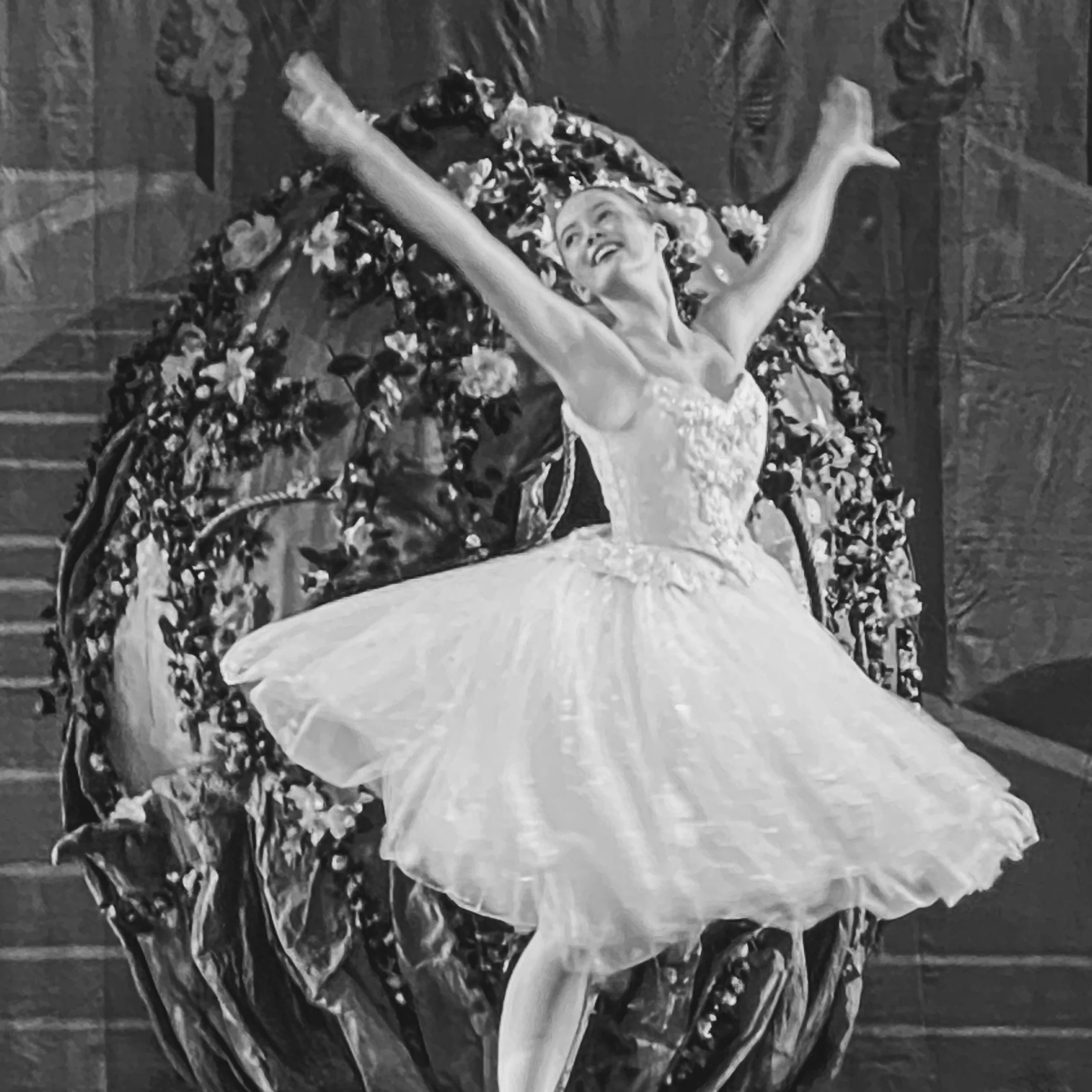 Sanderling Alumni Series 