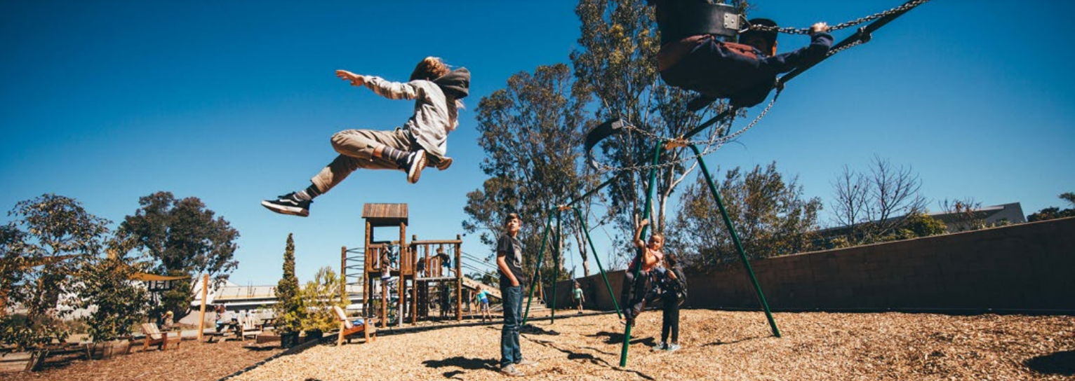 Waldorf Approach to Media and Technology in Education 