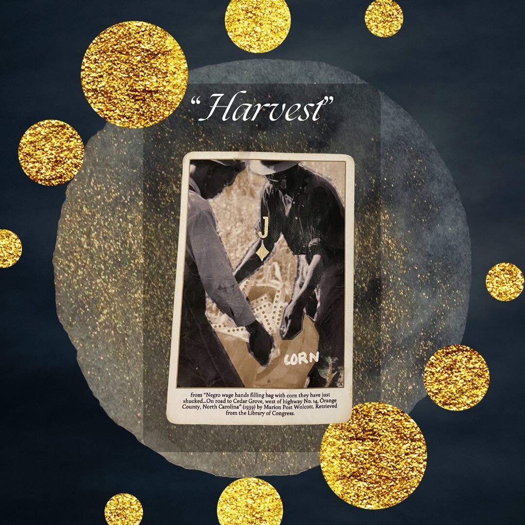 In our Elder Wisdom ritual, I always draw a card that offers medicine to orient us toward liberation in our field of practice. This time, I pulled to the &ldquo;Harvest&rdquo; card; it was much-needed Earth medicine in Pisces season. 
🪶
This is the 