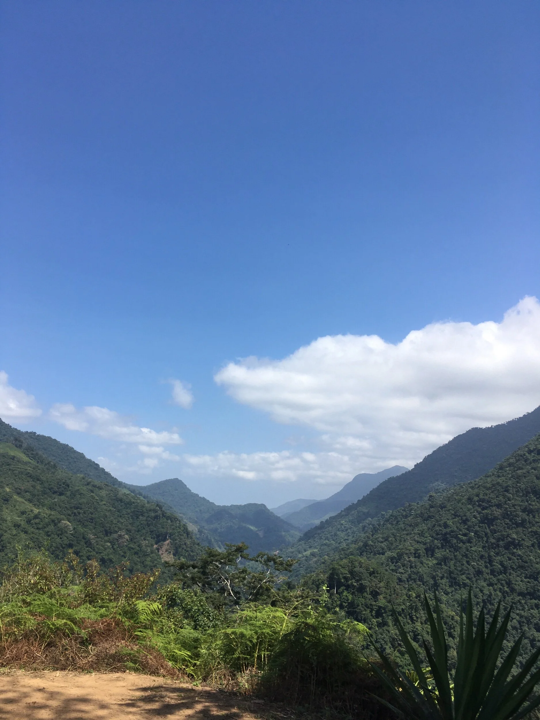 What yoga has taught me about climbing mountains