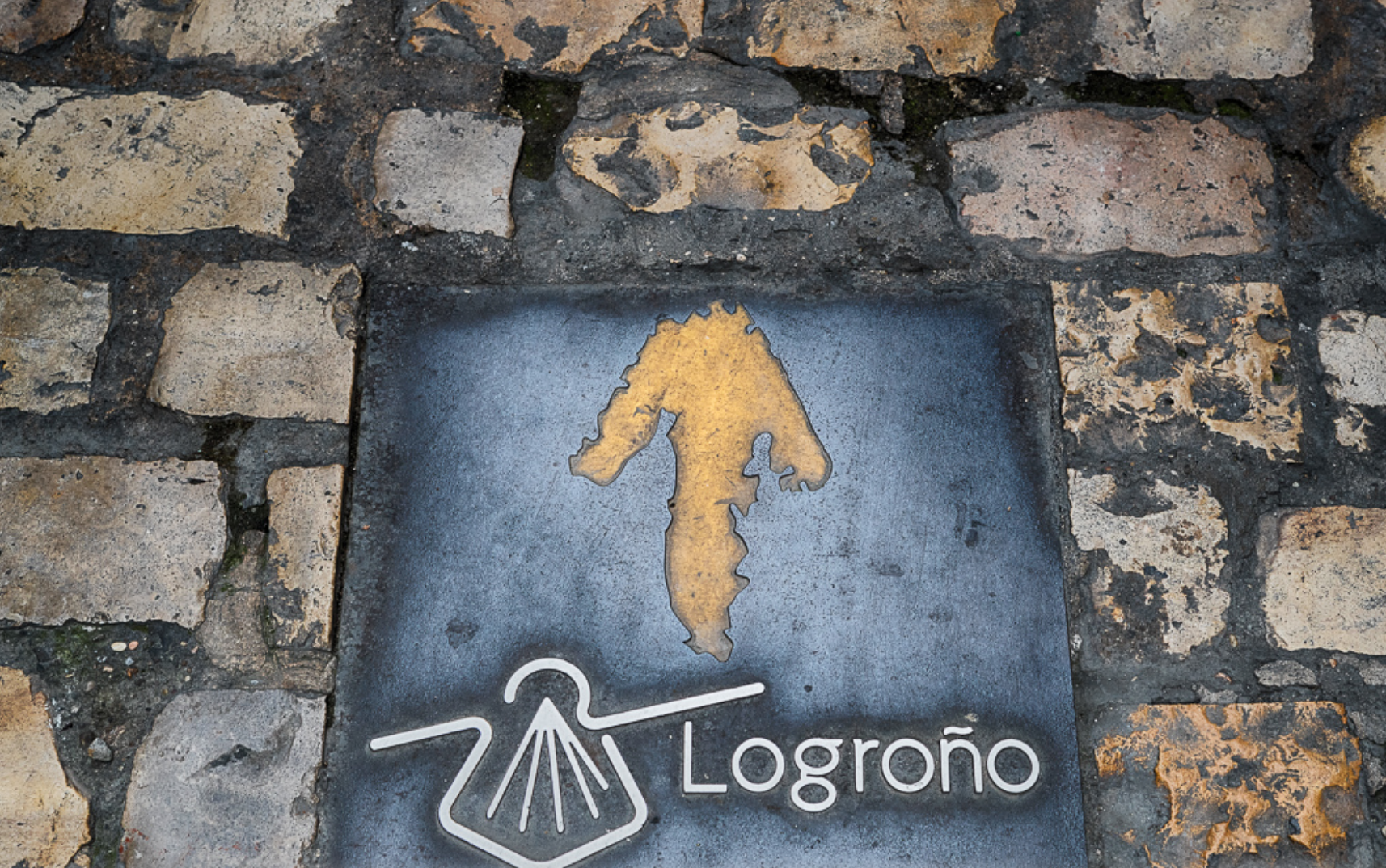 Los Arcos to Logrono