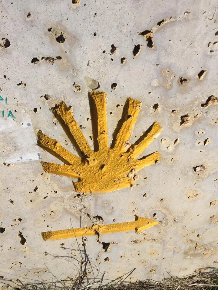 Castrojeriz to Fromista