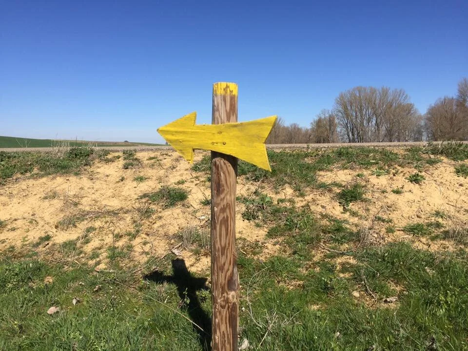 Templarios to Bercianos del Real Camino