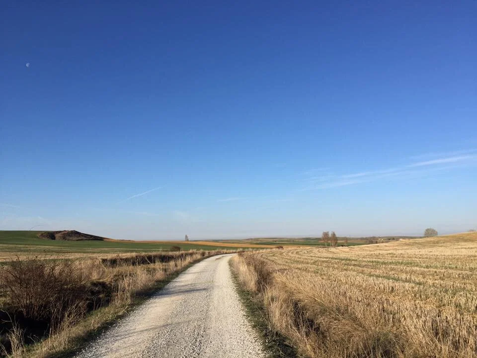 Bercianos del Real Camino to Mansilla de las Mulas
