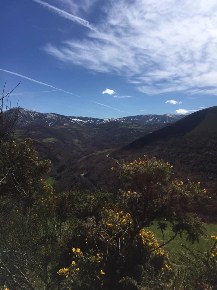 Villafranca to O Cebreiro