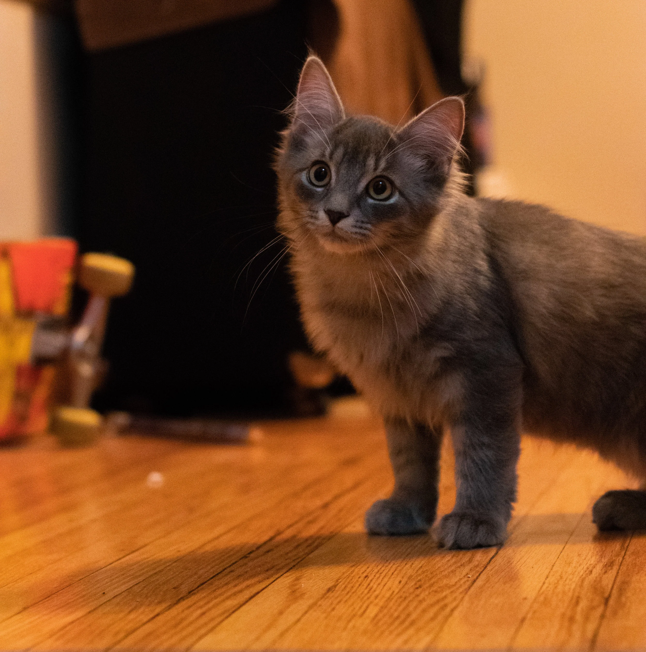 August 22, 2018_002.jpg