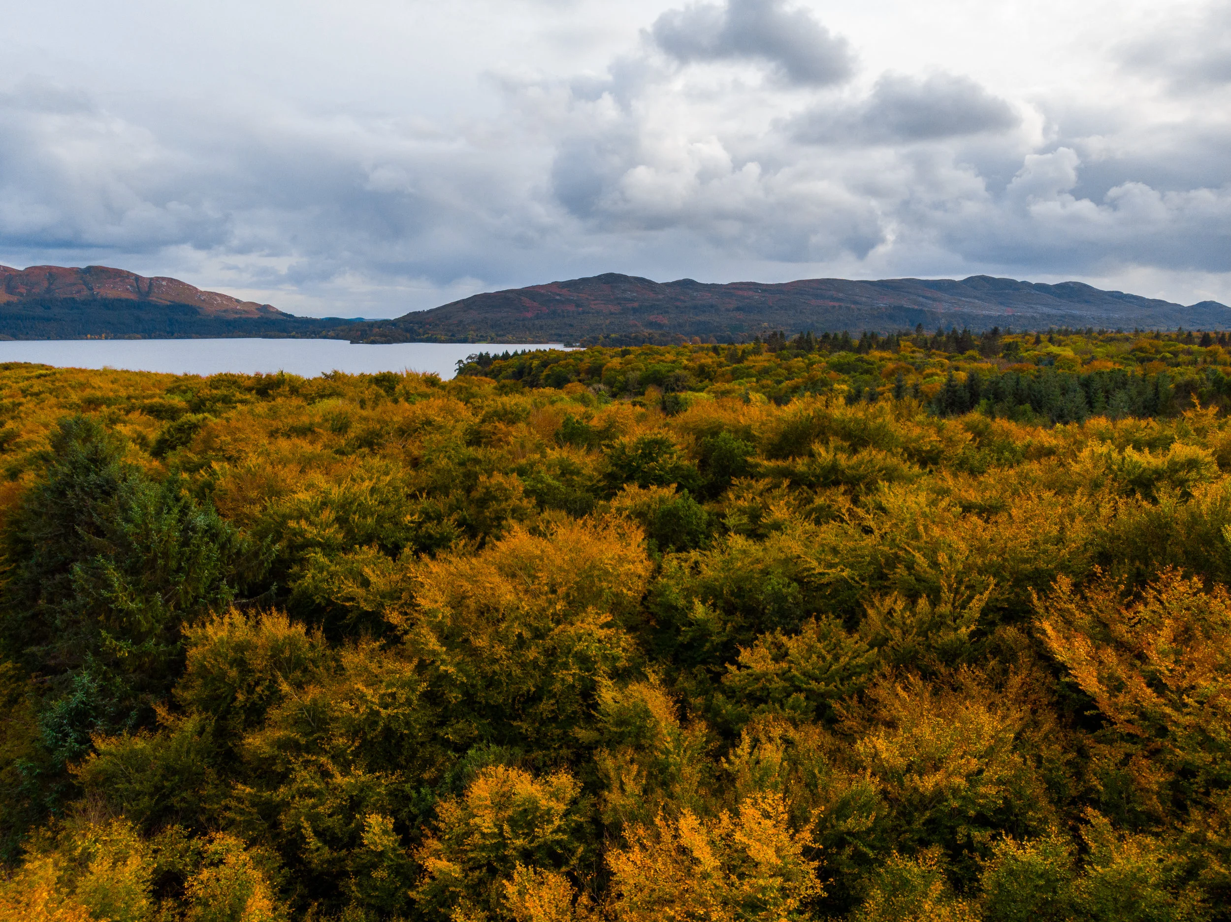 October 05, 2018_009.jpg