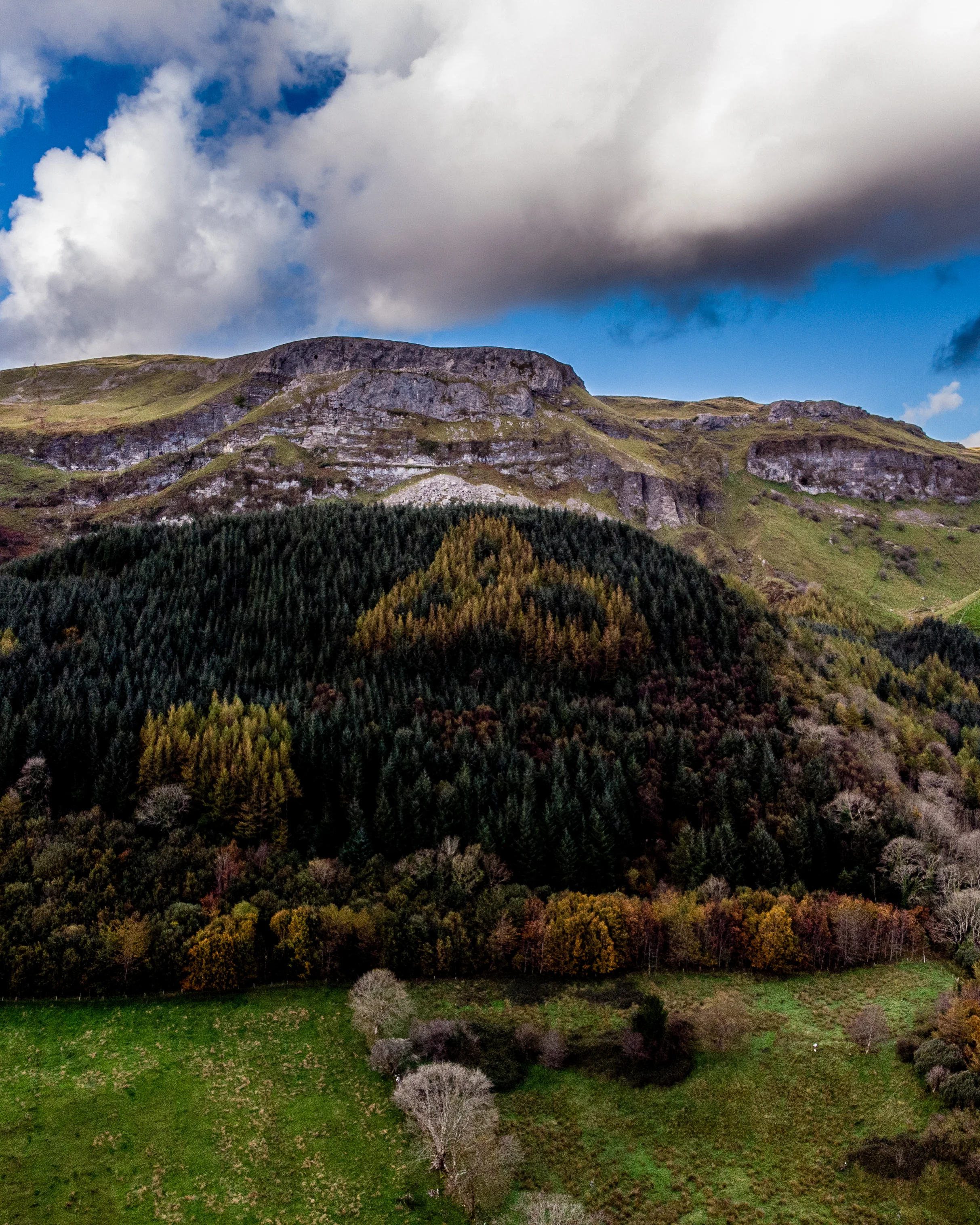 October 14, 2018_DJI_0069.jpg