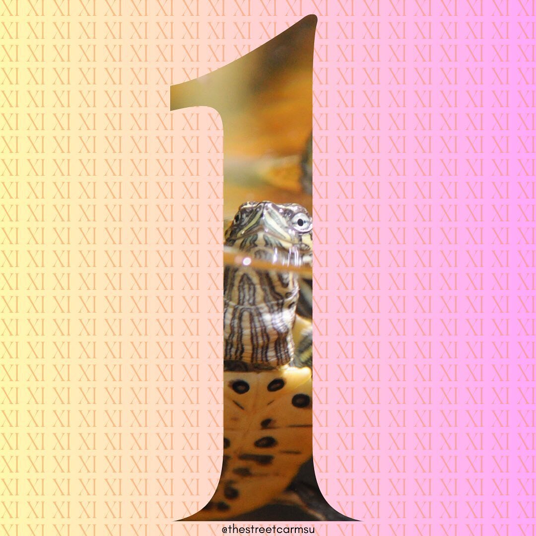 Only one more day! Today&rsquo;s sneak peak piece is by Anne Louise Phillips, and you can come see the entire work in the journal tomorrow!!!