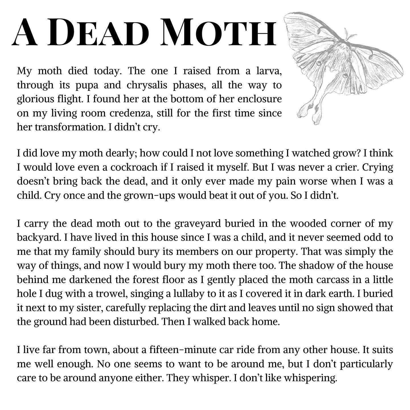 Today&rsquo;s piece, A Dead Moth by Jay Snodgrass, is from Volume 11! Remember that submissions for the Celebrate the Canvas zine close TONIGHT, so get those submissions in! Volume 12 submissions are still open, but the deadline is rapidly approachin