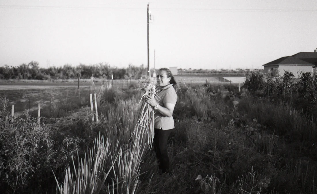 Mi Madre, en su cosecha, Odessa (2018)