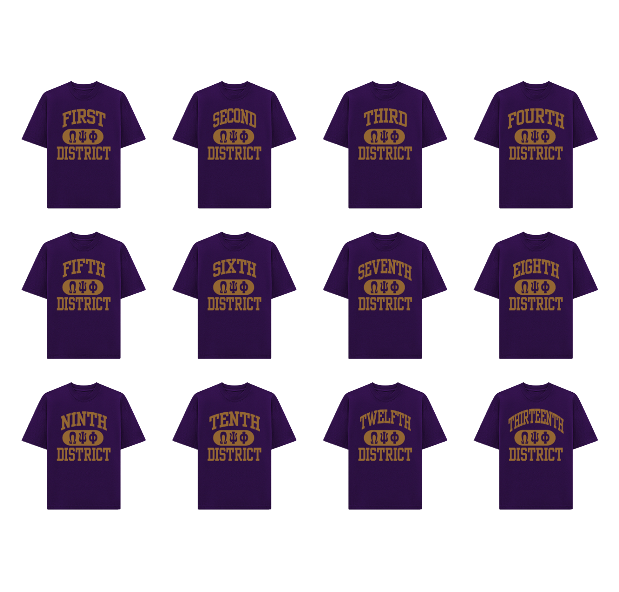 PURPLEDISTRICTTEESALL.png