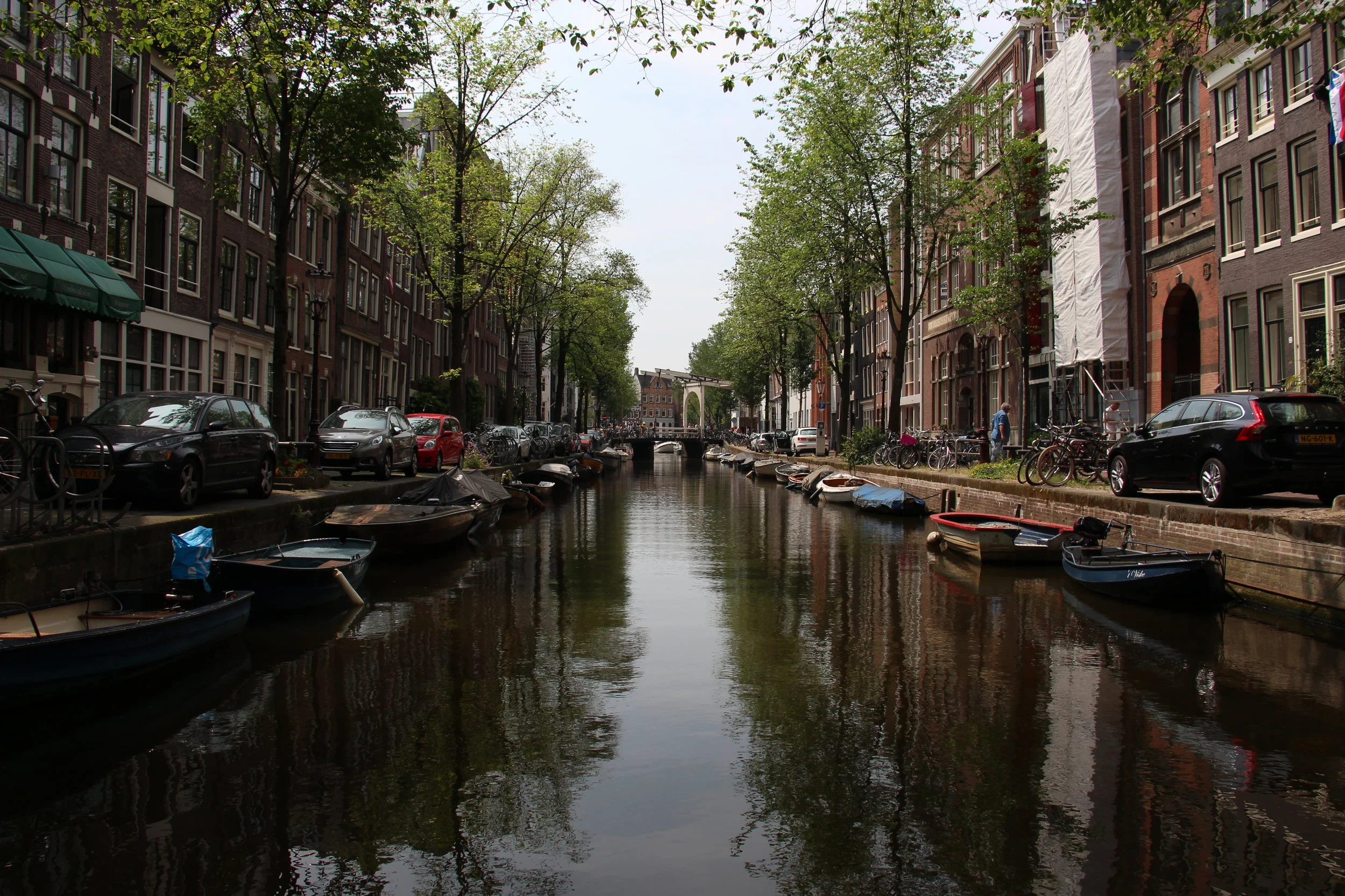 IMG_7737.JPG