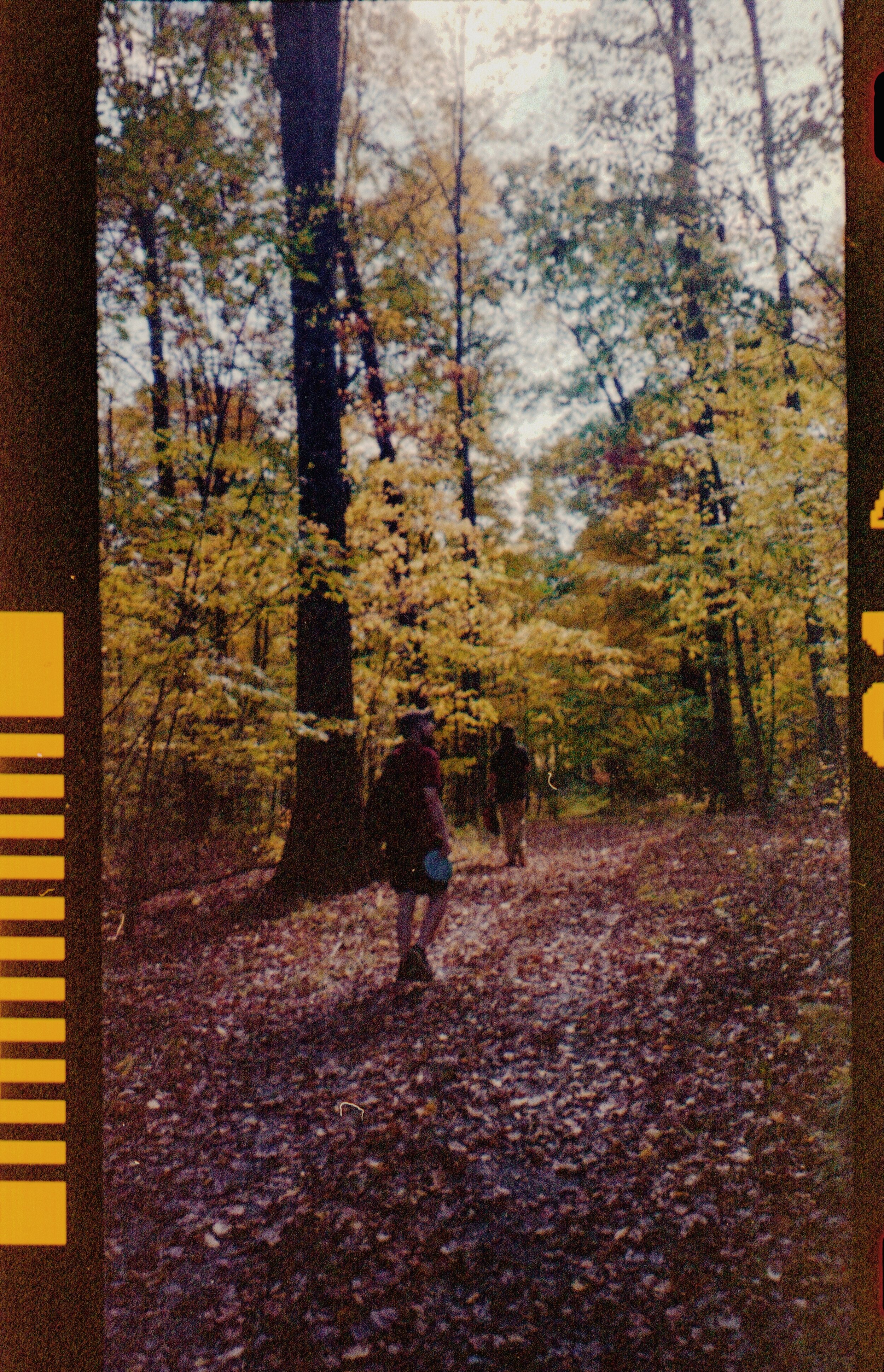 discgolf