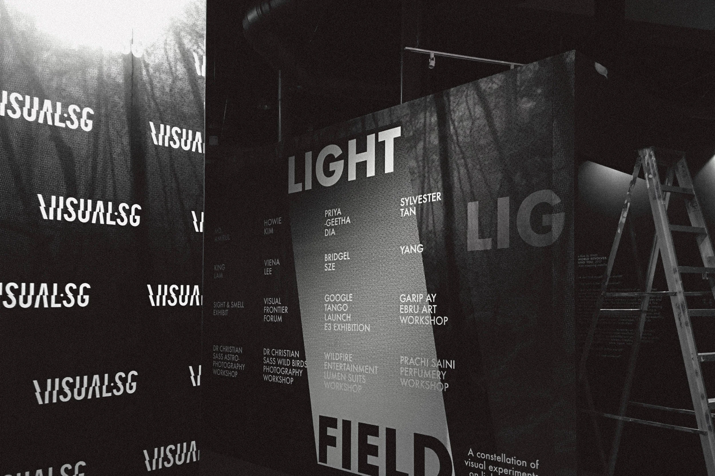 lightfield_kapieeipak_3.jpg