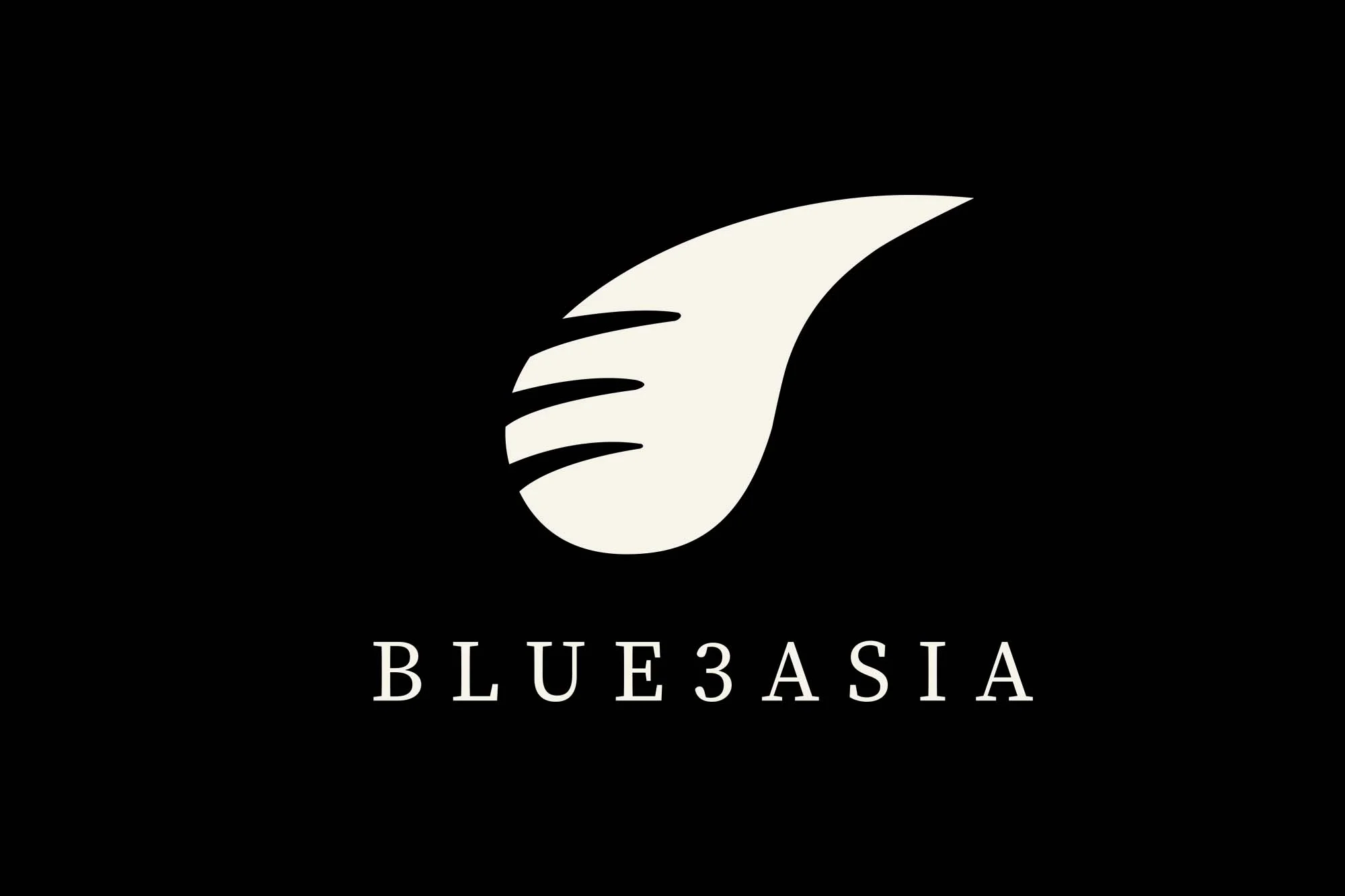   blue3asia . branding 