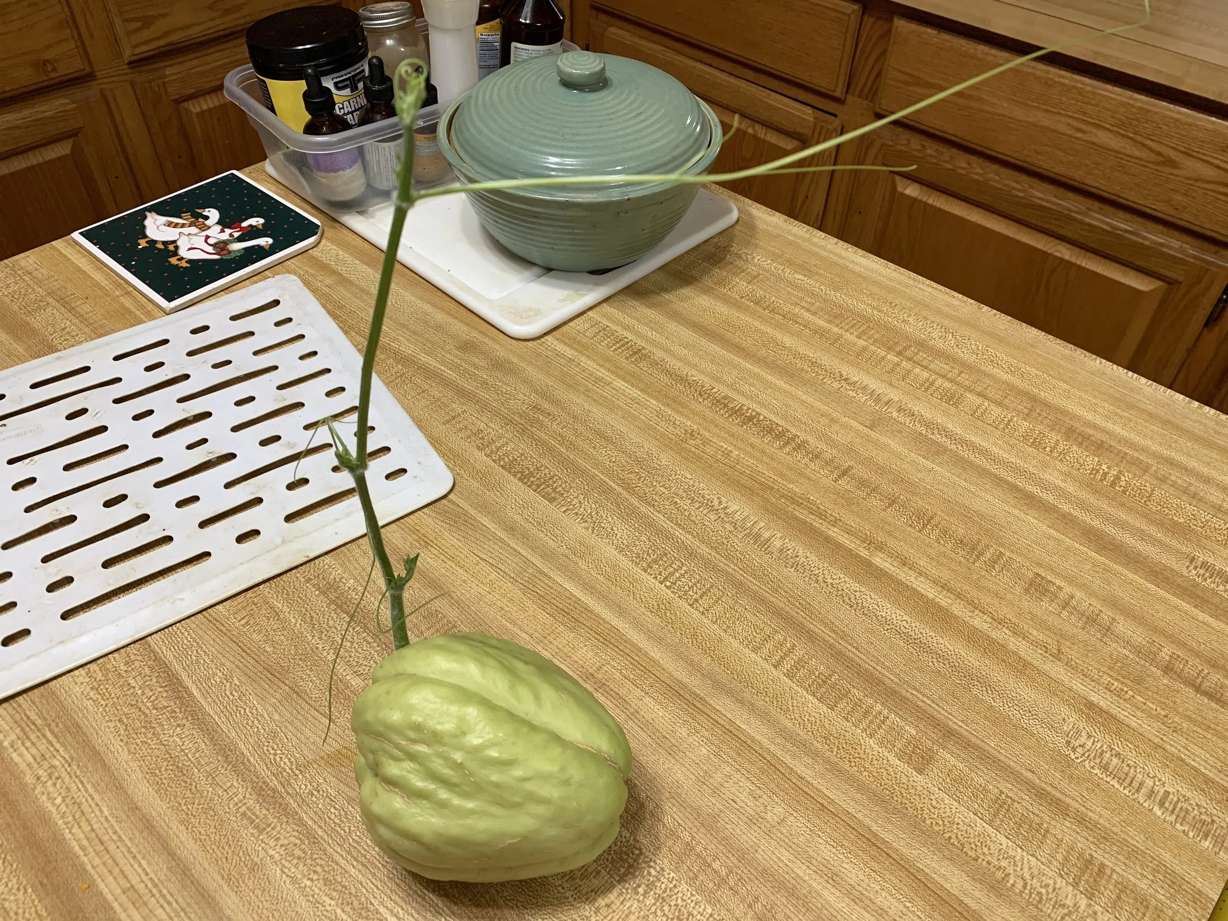 Chayote.jpg