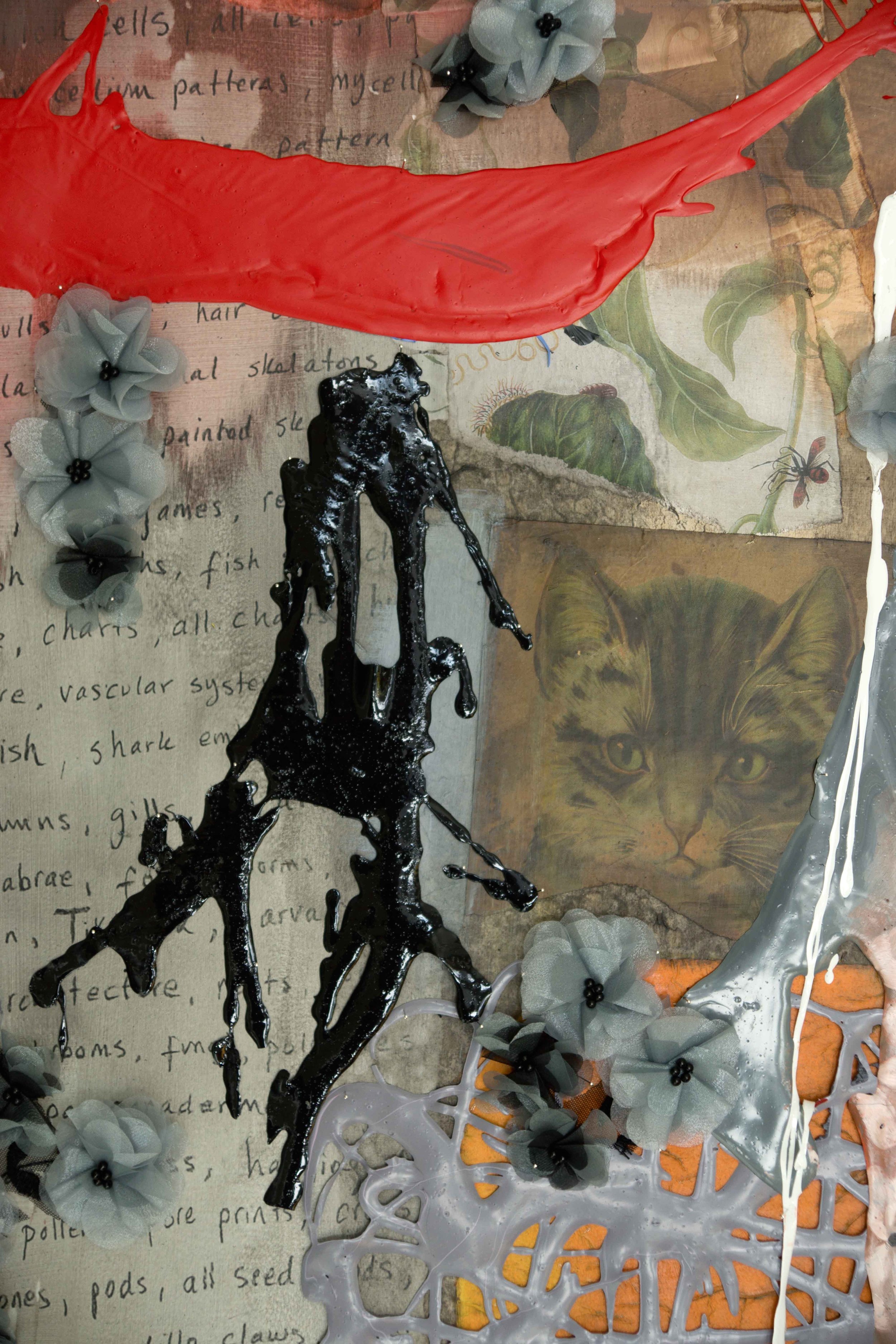 Kitten Detail