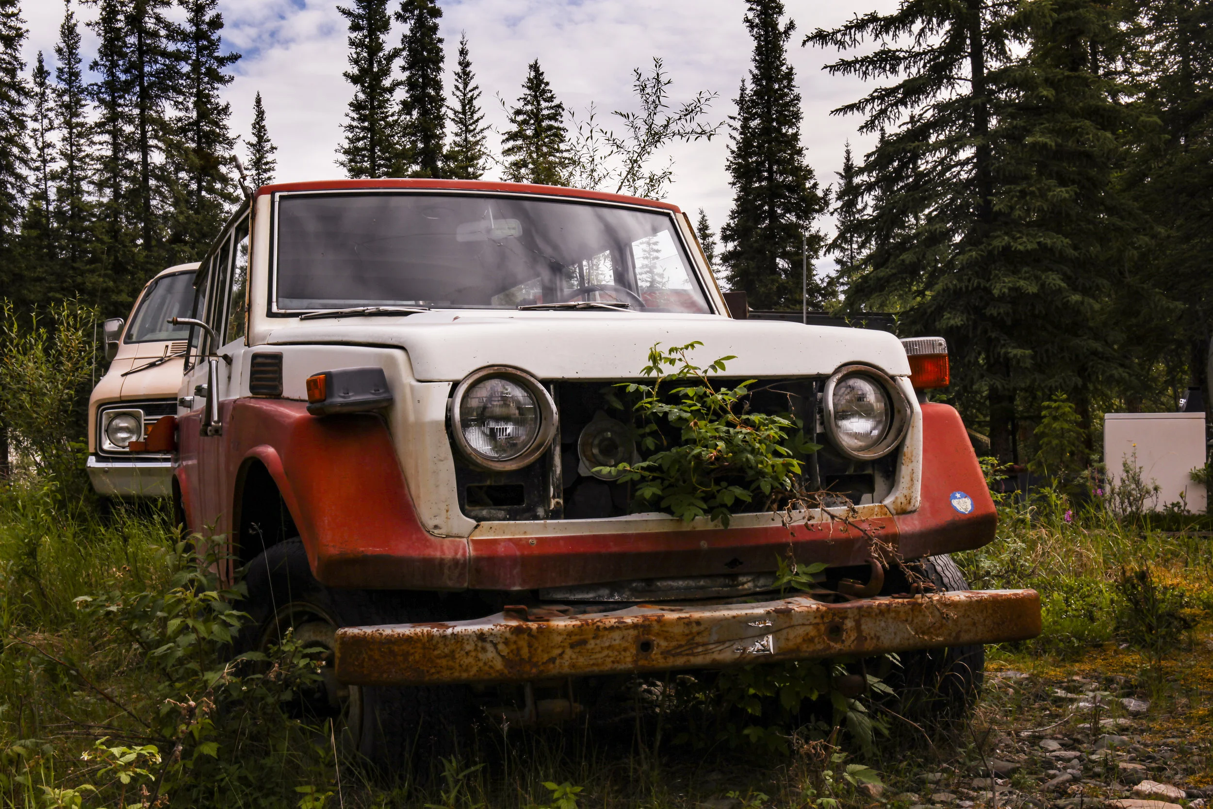  Taylor Highway Mile 100, Alaska 