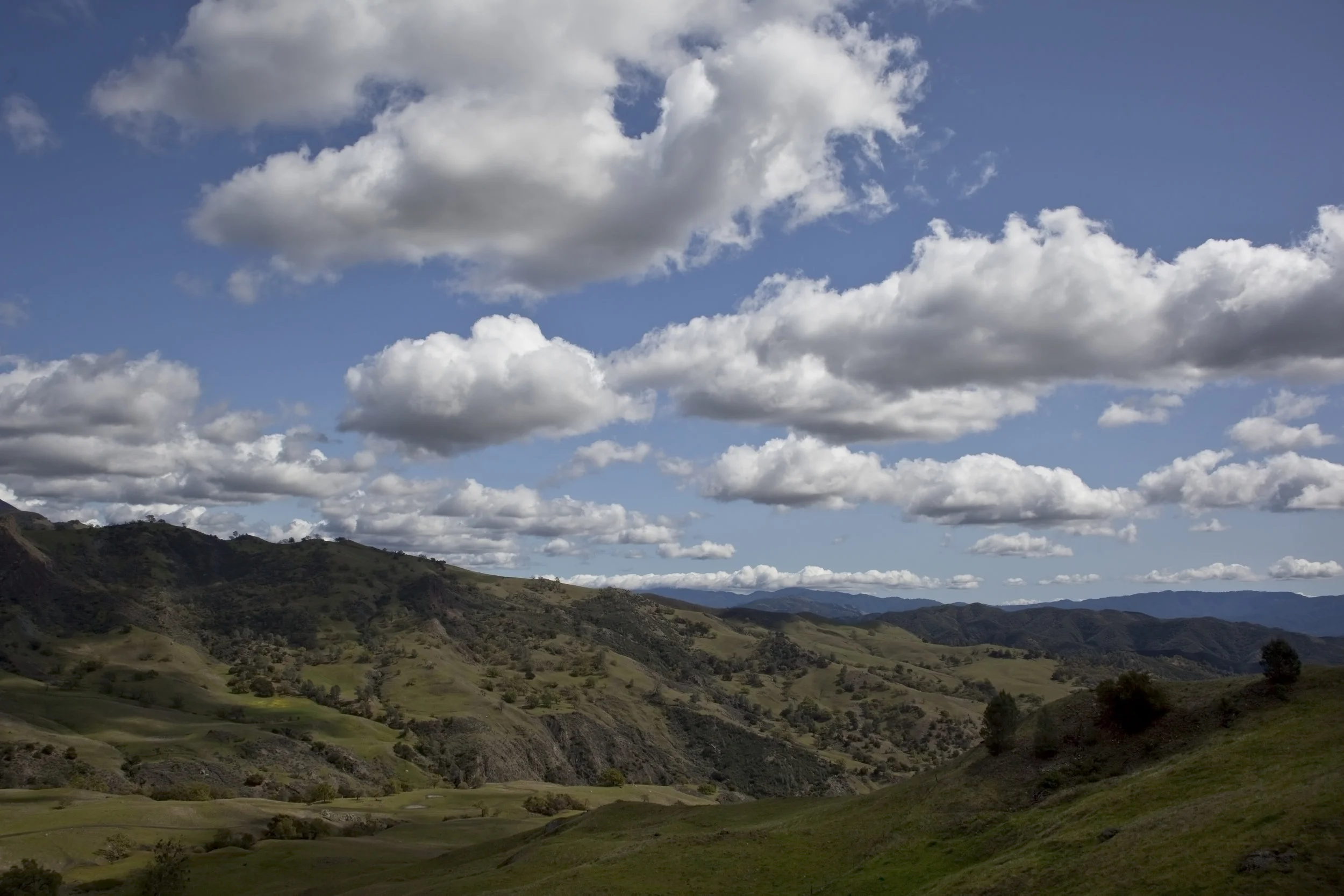  Santa Ynez, California. 2012. 