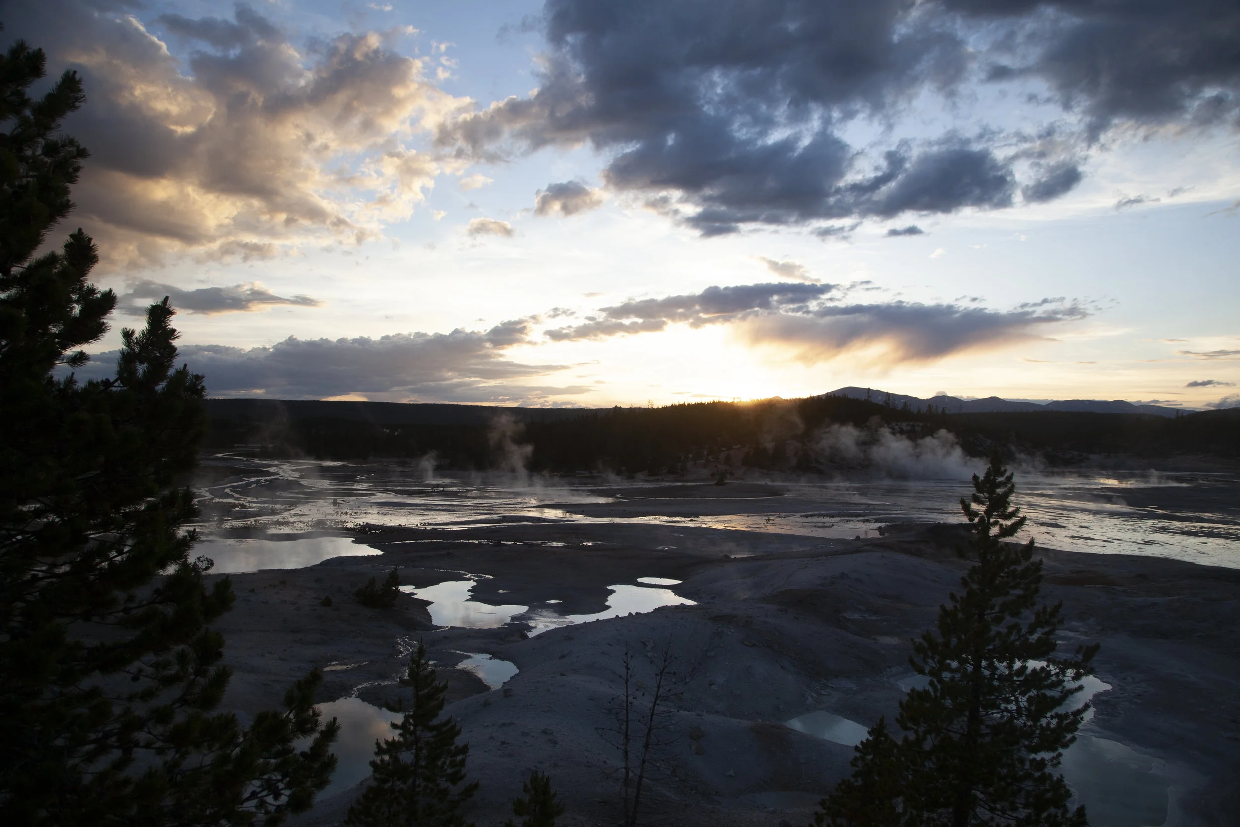  Norris Geyser Basin, Yellowstone, Wyoming. 2015. 