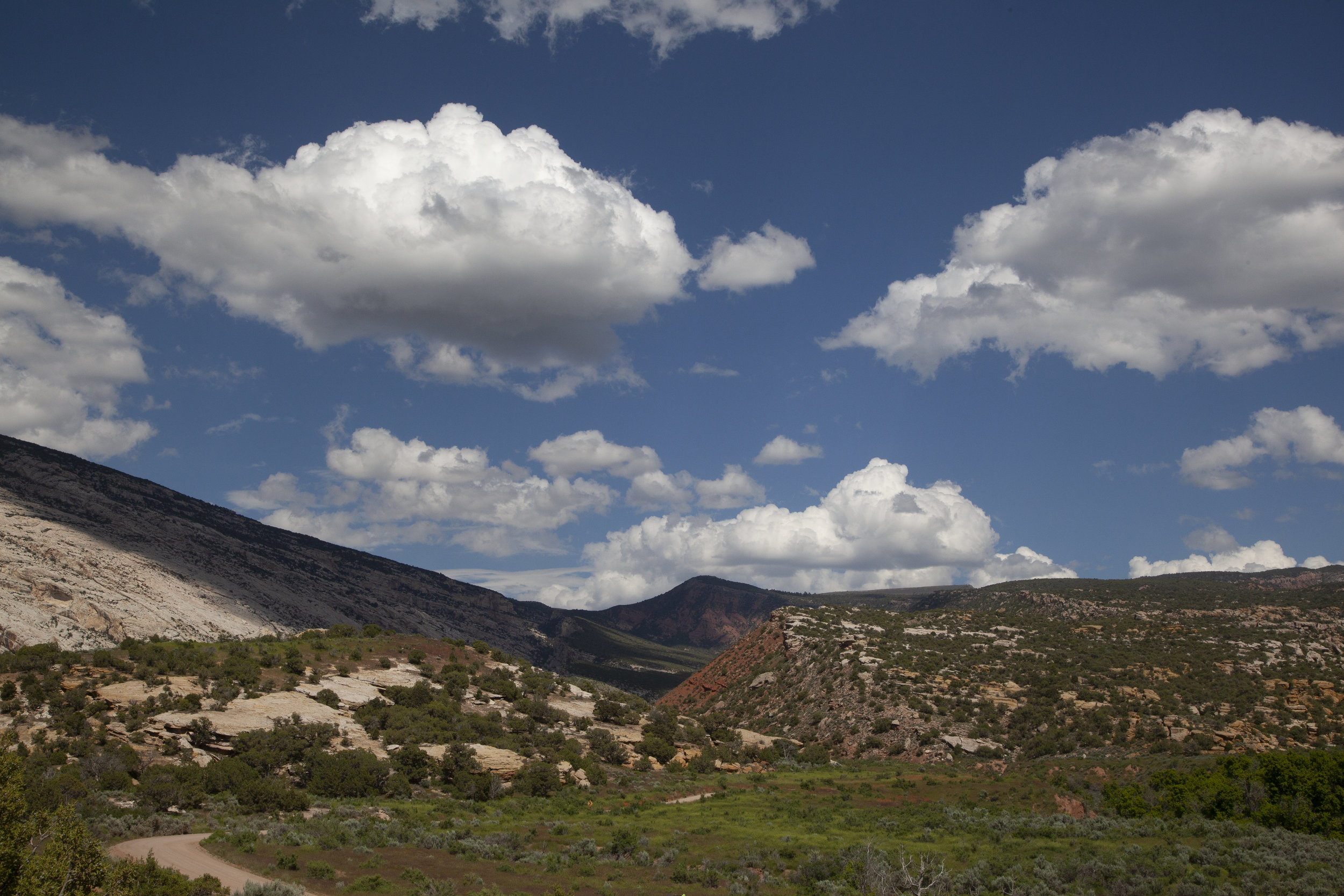  Dinosaur II. Utah. 2016. 